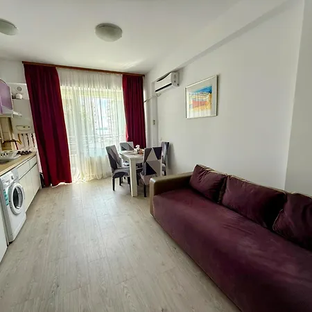 Idamar Summerland Bl21 *